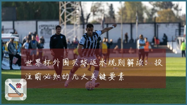世界杯外围买球返水规则解读：投注前必知的几大关键要素