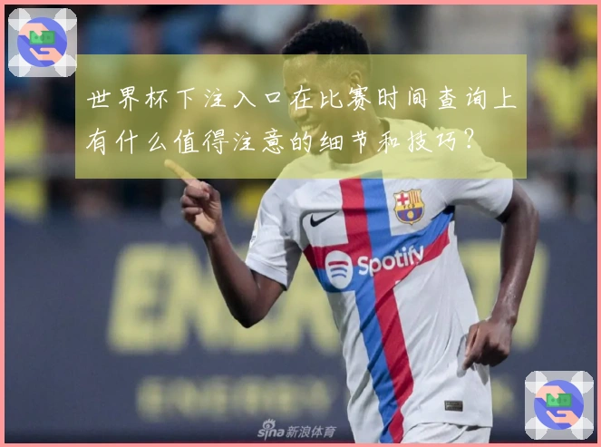 世界杯下注入口在比赛时间查询上有什么值得注意的细节和技巧？