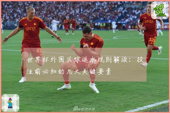 世界杯外围买球返水规则解读：投注前必知的几大关键要素