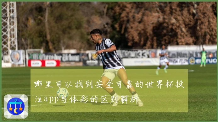 哪里可以找到安全可靠的世界杯投注app与体彩的区别解析