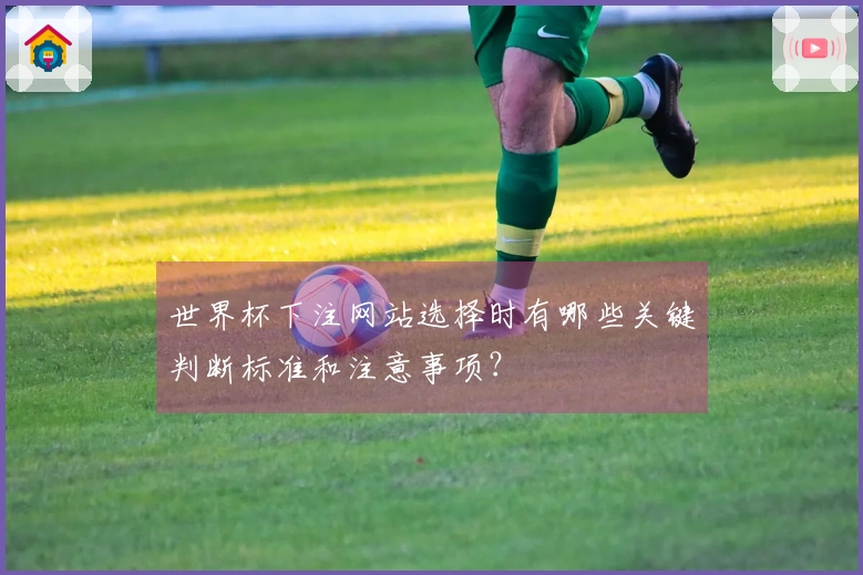 世界杯下注网站选择时有哪些关键判断标准和注意事项？