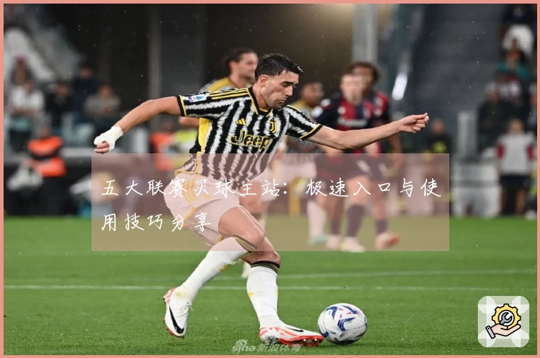 五大联赛买球主站：极速入口与使用技巧分享