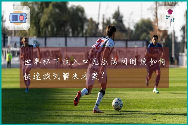 世界杯下注入口无法访问时该如何快速找到解决方案？