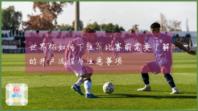 世界杯如何下注？比赛前需要了解的开户流程与注意事项
