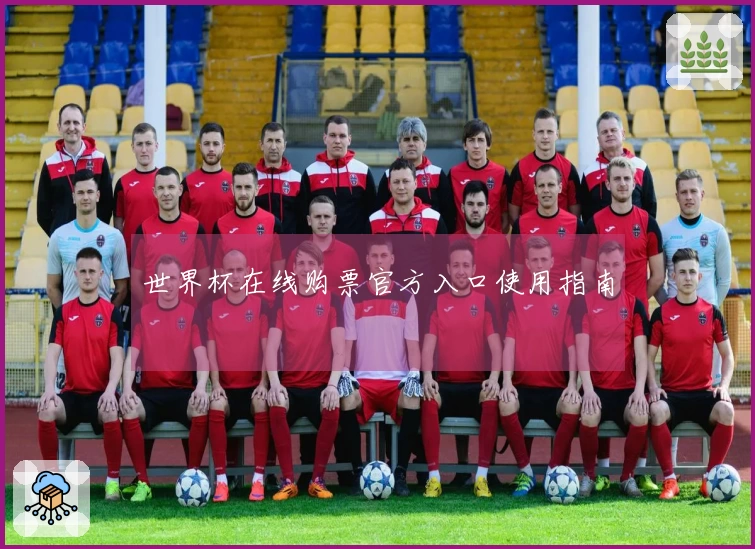 世界杯在线购票官方入口使用指南