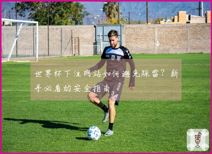 世界杯下注网站如何避免踩雷？新手必看的安全指南