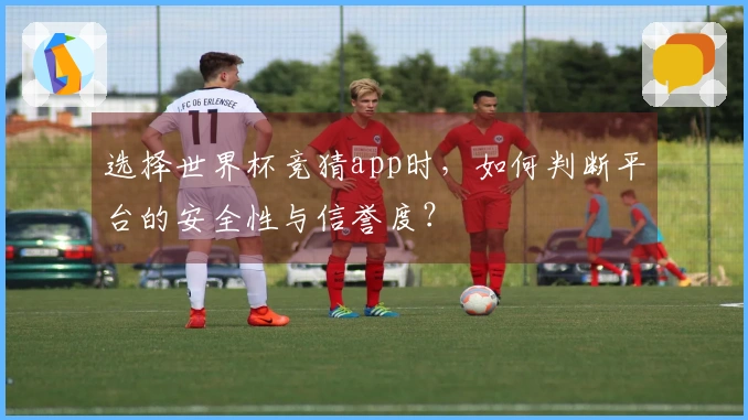 选择世界杯竞猜app时，如何判断平台的安全性与信誉度？