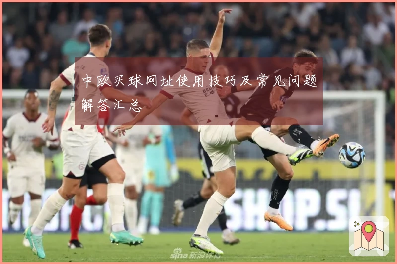 中欧买球网址使用技巧及常见问题解答汇总