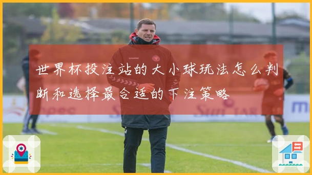 世界杯投注站的大小球玩法怎么判断和选择最合适的下注策略