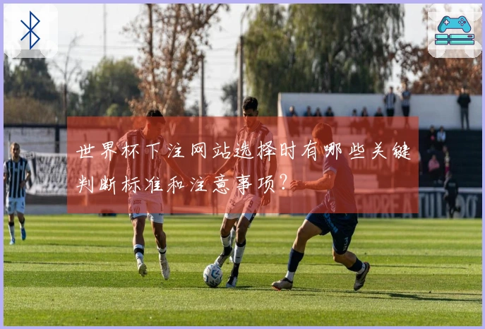 世界杯下注网站选择时有哪些关键判断标准和注意事项？