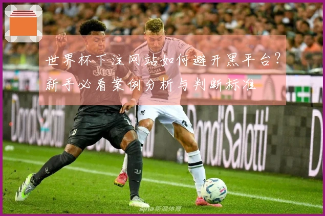 世界杯下注网站如何避开黑平台？新手必看案例分析与判断标准