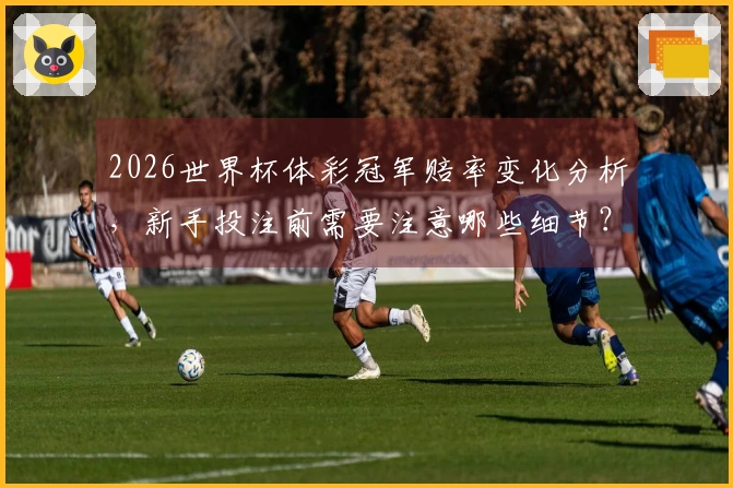 2026世界杯体彩冠军赔率变化分析，新手投注前需要注意哪些细节？