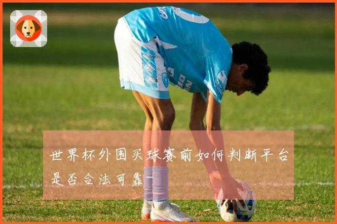 世界杯外围买球赛前如何判断平台是否合法可靠-
