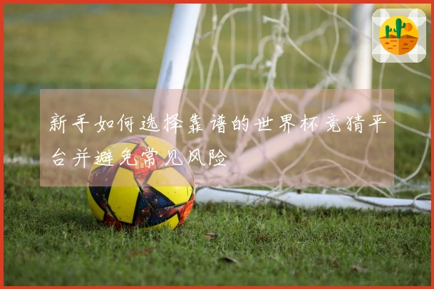 新手如何选择靠谱的世界杯竞猜平台并避免常见风险