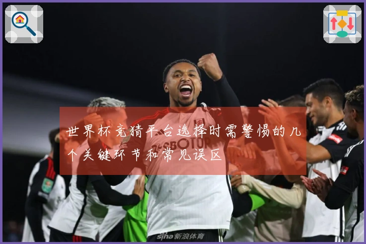 世界杯竞猜平台选择时需警惕的几个关键环节和常见误区