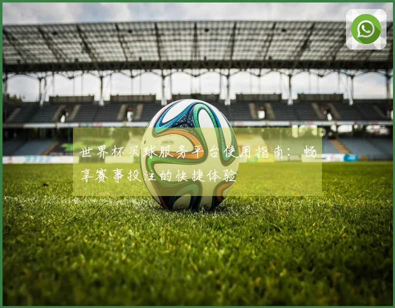 世界杯买球服务平台使用指南：畅享赛事投注的快捷体验