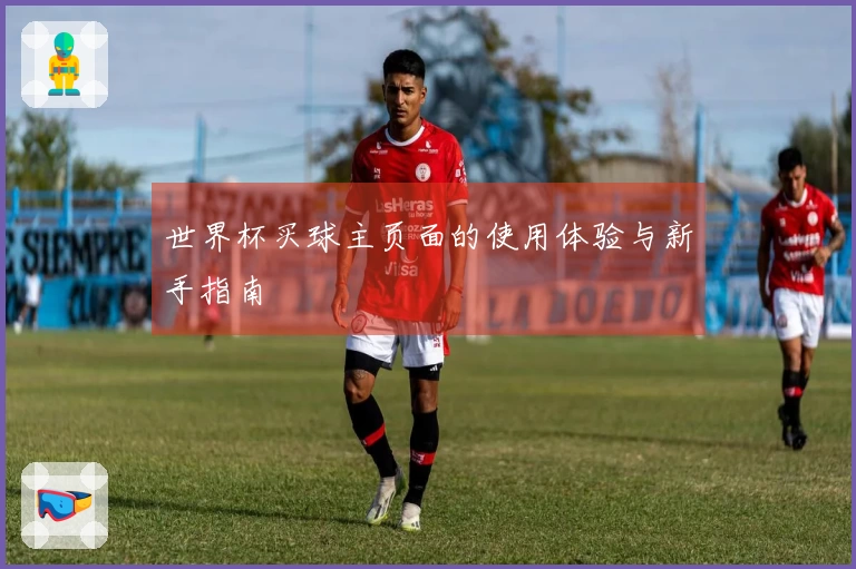 世界杯买球主页面的使用体验与新手指南