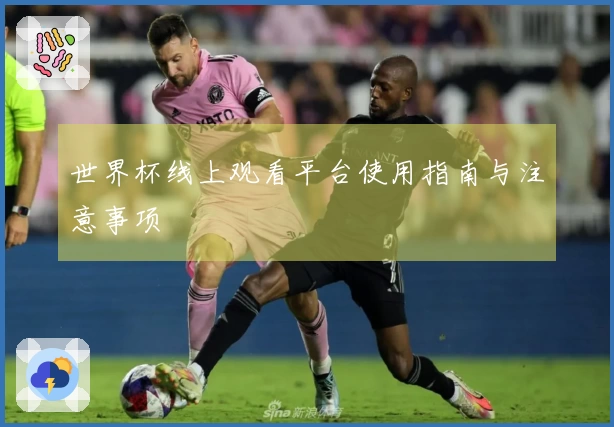 世界杯线上观看平台使用指南与注意事项