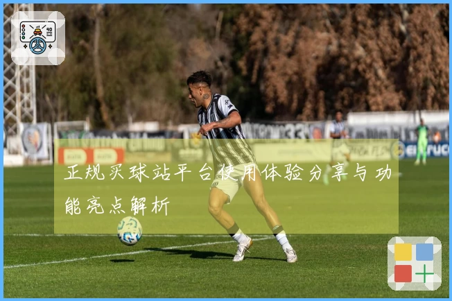 正规买球站平台使用体验分享与功能亮点解析