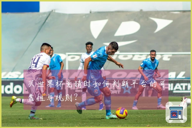 买世界杯竞猜时如何判断平台的可靠性与规则？