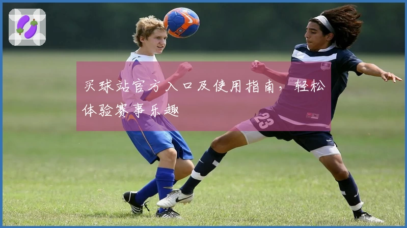 买球站官方入口及使用指南，轻松体验赛事乐趣