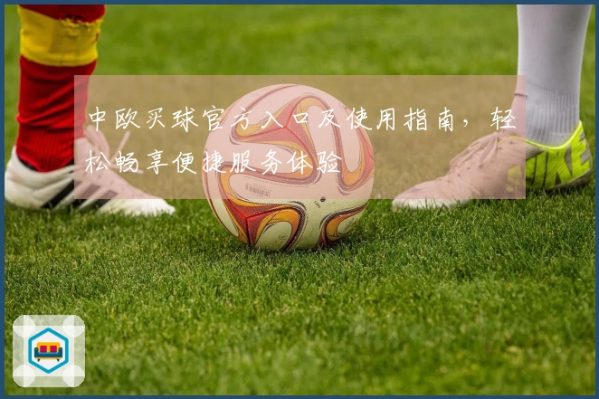 中欧买球官方入口及使用指南，轻松畅享便捷服务体验