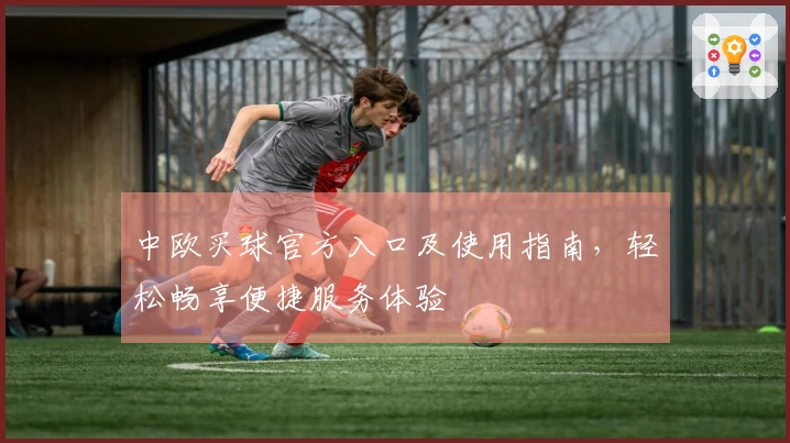 中欧买球官方入口及使用指南，轻松畅享便捷服务体验