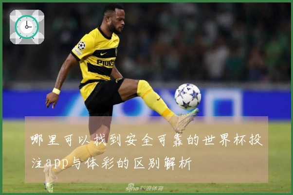 哪里可以找到安全可靠的世界杯投注app与体彩的区别解析