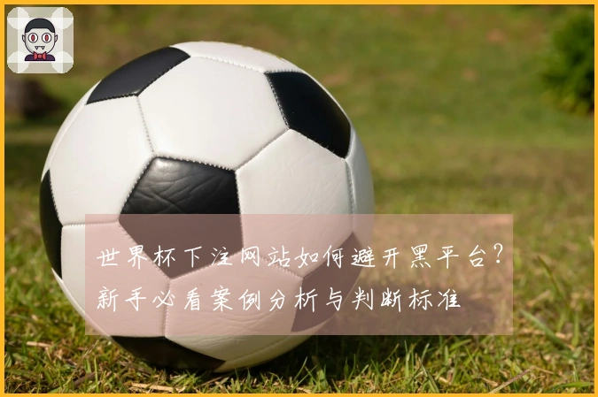 世界杯下注网站如何避开黑平台？新手必看案例分析与判断标准