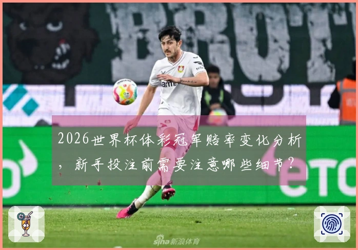 2026世界杯体彩冠军赔率变化分析，新手投注前需要注意哪些细节？