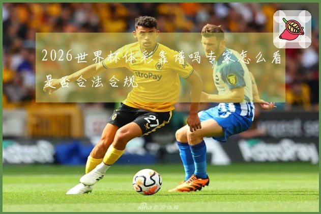 2026世界杯体彩靠谱吗专家怎么看是否合法合规