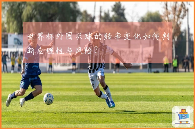 世界杯外围买球的赔率变化如何判断合理性与风险？
